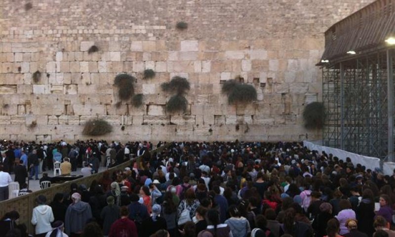 אלפים בכותל המערבי בתפילה לשלום חיילי צה"ל