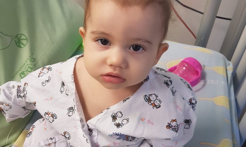 הישרדות עוברת בתורשה | המאבק של אביגיל