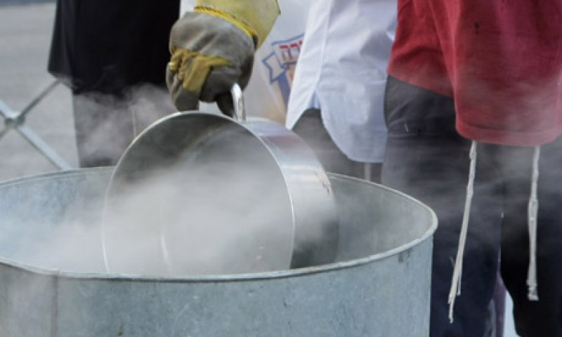 החילונים של הבית היהודי השיקו מלשינון כשרות