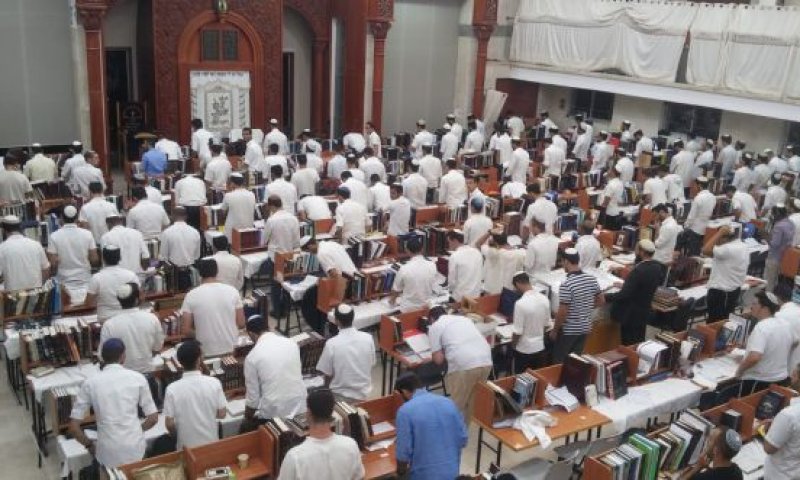 ראש ישיבת ההסדר לכ"ץ: ככה לא תגייס חרדים