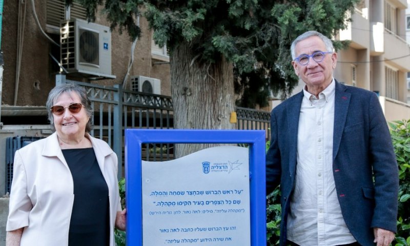 "מקהלה עליזה": היכן נמצא הברוש המפורסם?