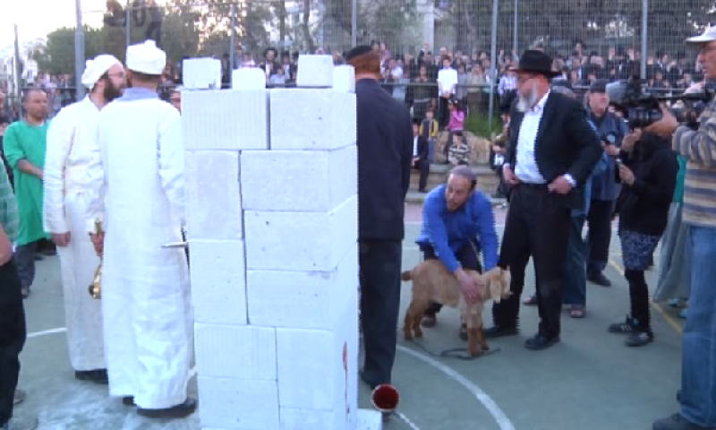 תנועות המקדש מבקשות לקיים תרגול לקרבן הפסח