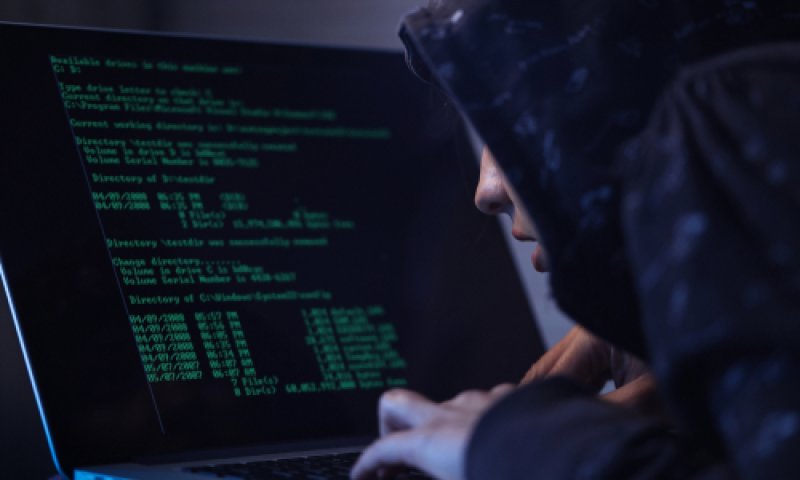 נתקלתם? אלה הכינויים בהם פעל הפדופיל ברשת החברתית