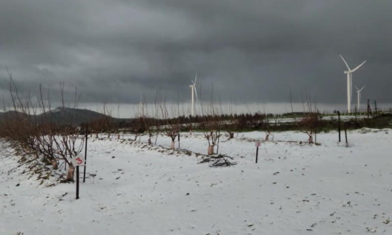 לראשונה השנה: שלג ירד מחוץ לחרמון. צפו בתיעוד