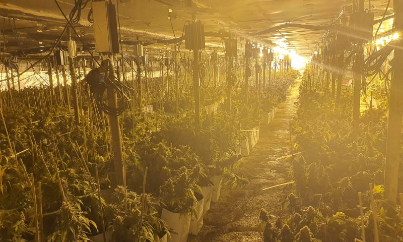 אחד החשודים בהברחת סמים: אביו של סלב מוכר