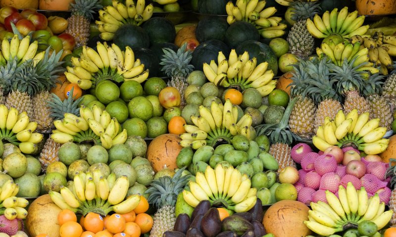 שו"ת ט"ו בשבט: הרב קוק היה נוטל ידיים לפירות א"י