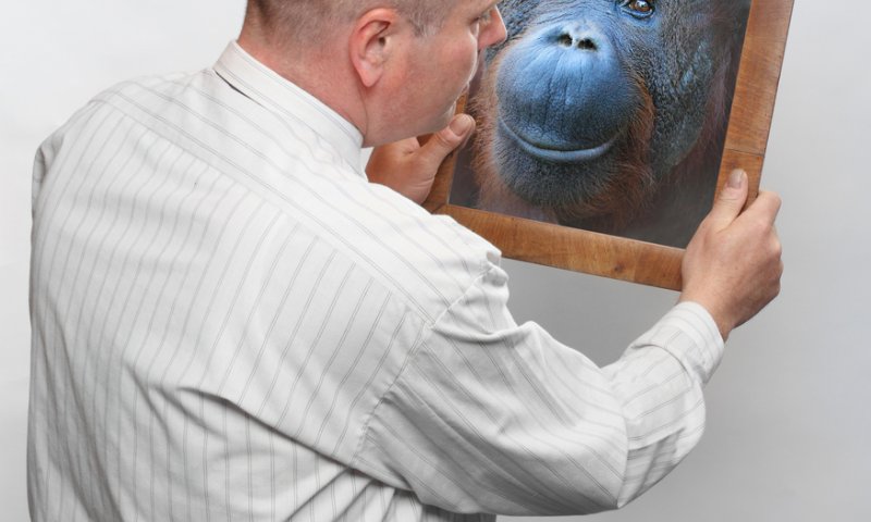 אבולוציה: בין עולם מנוהל לעולם מתנהל