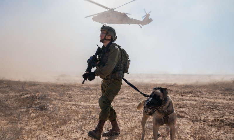 צפו: תצוגת תכלית של צה"ל לרמטכ"לים זרים