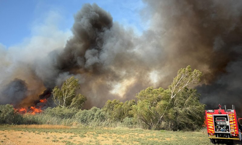 שריפה מתפשטת בבקעת הירדן, 6 מטוסים הוזנקו לסייע | צפו