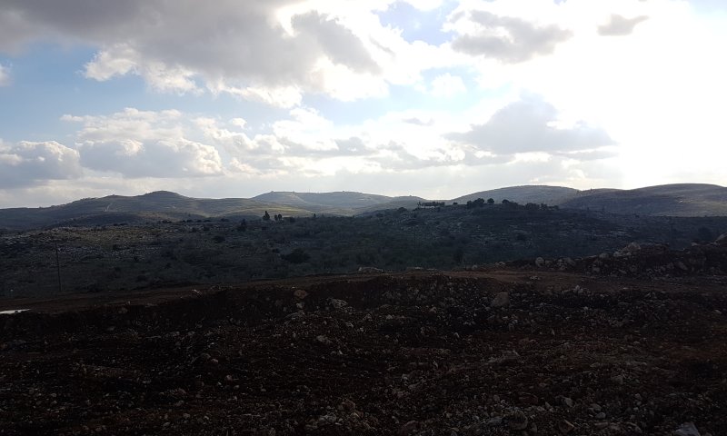 ההווי ישראלי המחיר שפוי: נווה דרור &ndash;  כל מה שצריך