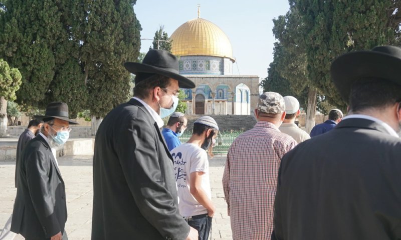 השגרירים של עם ישראל בפעילות למען בניין הבית
