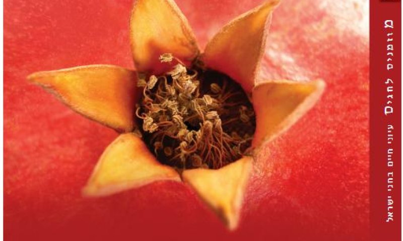 ראש הישיבה כתב התלמידים צילמו. ספר חדש לפסח