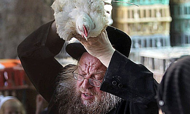 הרב אפרתי: "מי שטוען לאכזריות בכפרות &ndash; מוציא לעז"