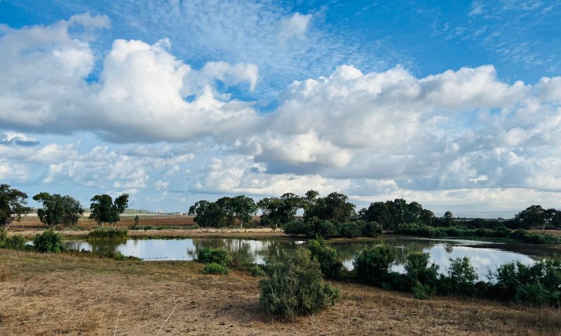 קר מהרגיל; רוחות חזקות וגשם: תחזית מזג אוויר