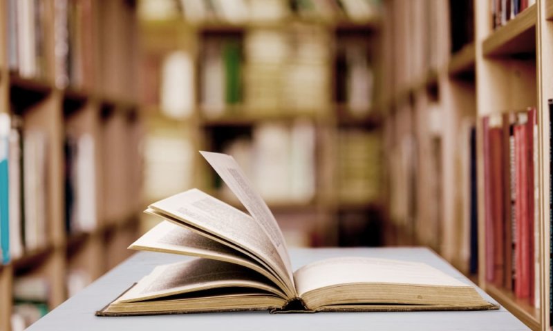 מכתב סודי, חברות חדשה ודמיון שממריא: המלצה לספר ילדים קסום