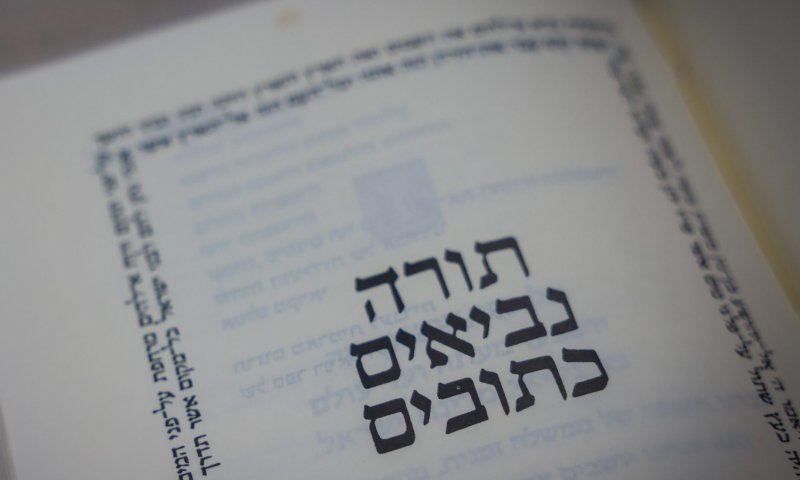 מקרה של פעם ב-27 שנה: איזו הפטרה יקראו השבת?