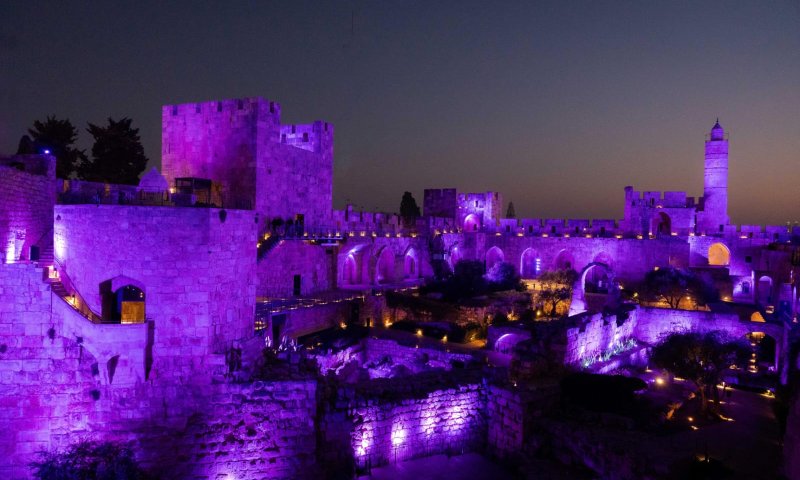 כ-100,000 פצועי מלחמה והמדינה נצבעה בסגול למענם