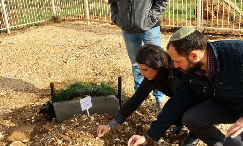 שקד: "על הממשלה לאשר כבר בראשון את הסדרת חוות גלעד"