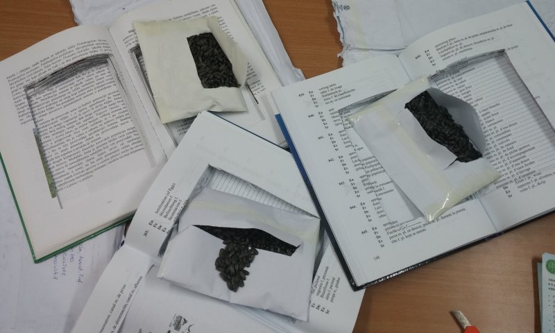 נסיון הברחה: זרעי חמניות הוחבאו בספרים