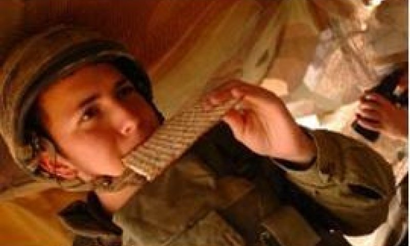 צבא אשכנזי: צה"ל כשר למהדרין ללא חשש קטניות