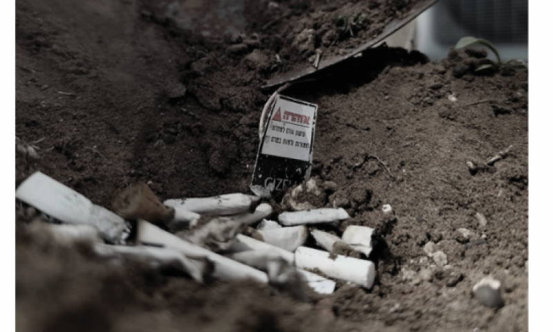 צילום יכול להציל חיים? בני נוער מציגים תערוכה נגד עישון