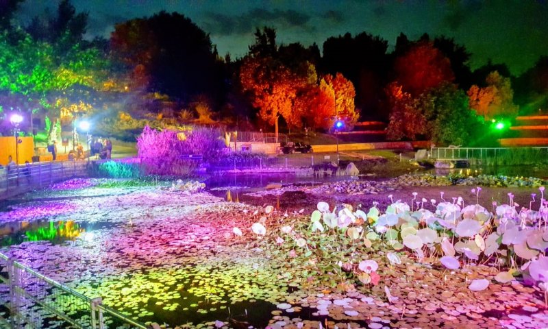 ארץ האגדות בירושלים: חוויה מיוחדת בגן הבוטני