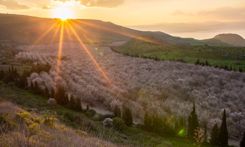 עלייה בטמפרטורות; קריר בלילות: תחזית מזג אוויר