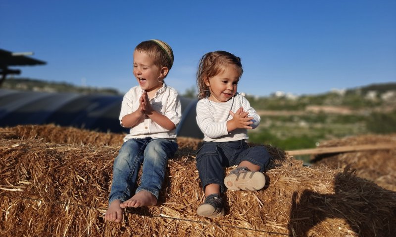 שנה לאחר הרצח: חוות 'נווה אורי' הוקמה לזכרה של אורי אנסבכר הי"ד