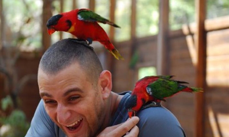 יש זוכה בתחרות הצילומים 'ציפורים בראש' בגן גורו