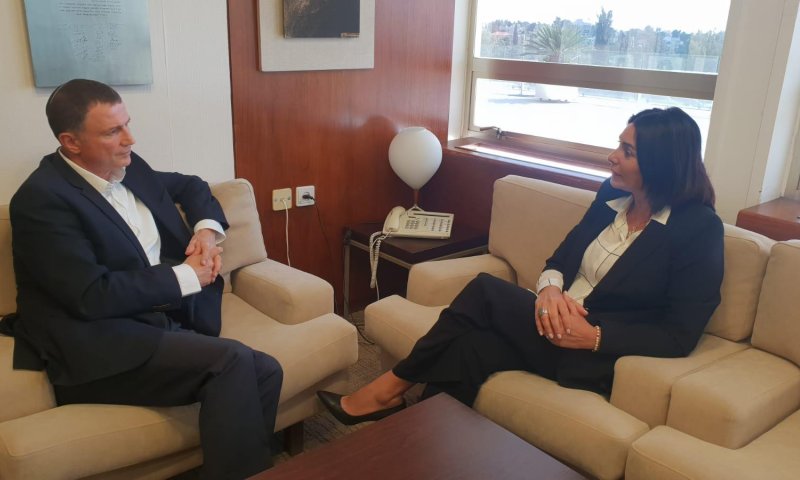 אחרי חצי שנה: סולחה בין רגב לאדלשטיין