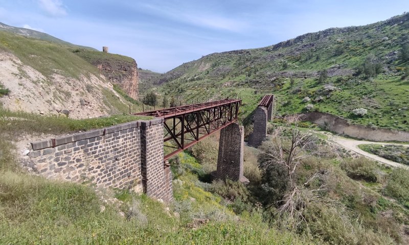 הצפון מחכה לכם: כל החוויות שלא תרצו לפספס בסוכות