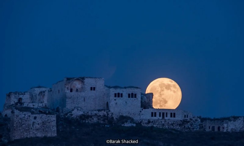 אפקט הקורונה? | שיא של מבקרים בשמורות הטבע