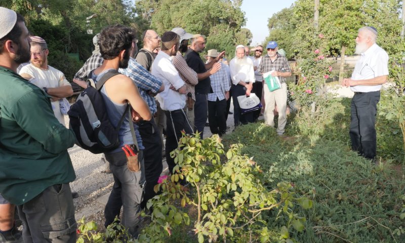 לקראת שנת השמיטה: הגננים מתכוננים לאתגרים