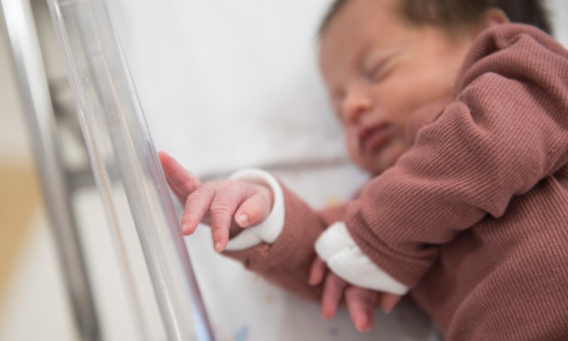 איפה עובר הגבול של ההפלות המותרות?