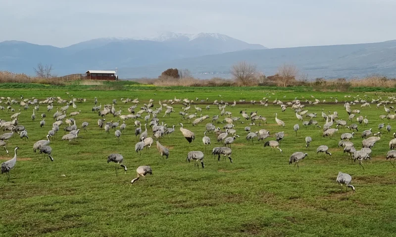 טיול פורח אל יסוד המעלה: פנינות היסטוריה וטבע