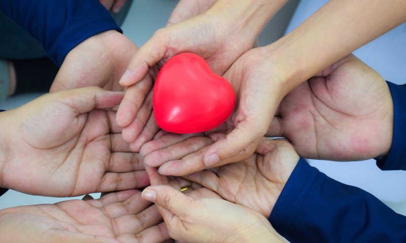 הסטארט-אפ של החסד &ndash; איך זה עובד? כל התשובות