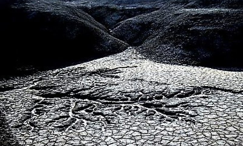 חומש מזווית אחרת: ספר ויקרא בתמונות