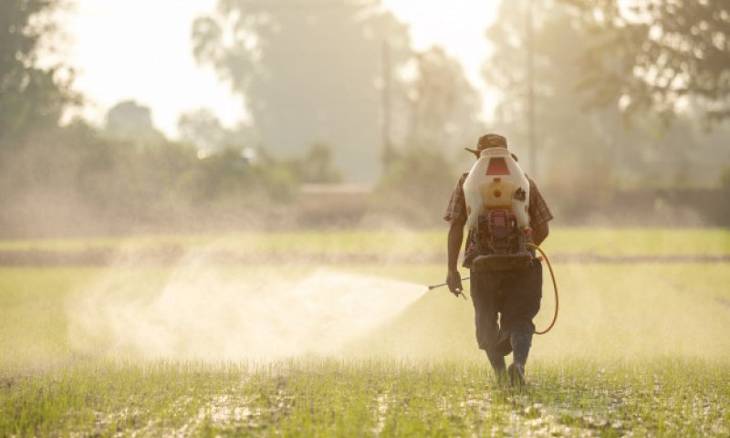 כל כמה זמן צריך לעשות הדברה בבית