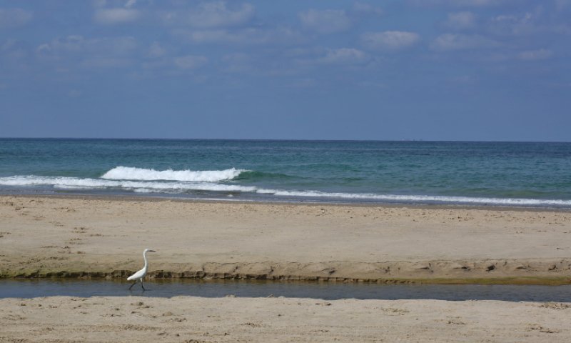 טביעה בחוף מעגן מיכאל: נער בן 15 הובהל לביה"ח