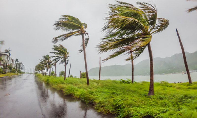 השירות המטאורולוגי בעדכון דרמטי: "יש לצפות לנזקים"