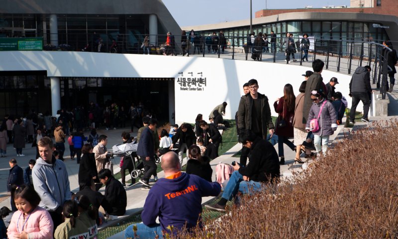 הסוף לבלבול: שיטת חישוב הגיל בדרום קוריאה תשונה