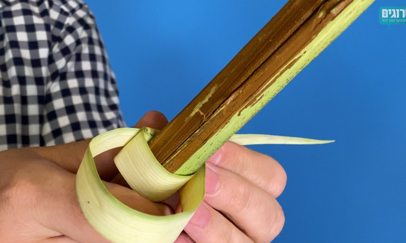 צפו: כך תכינו טבעות לולב עבור ארבעת המינים