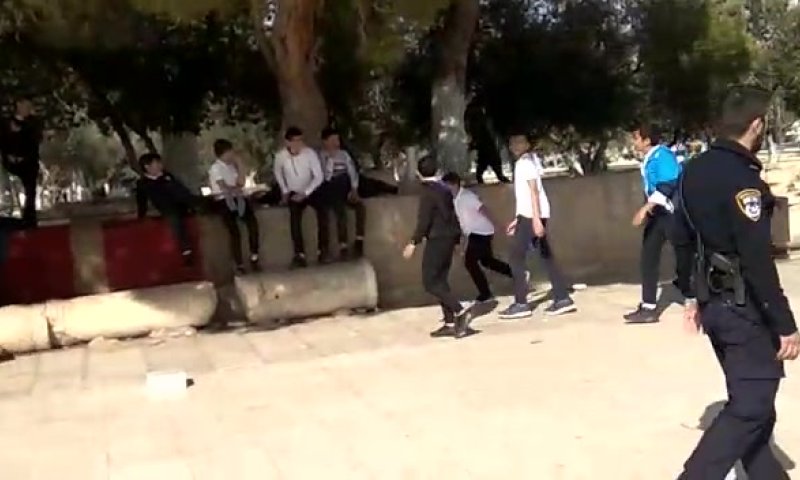 חרף הוראת בג"ץ: ערבים שוב שיחקו בכדור בהר הבית