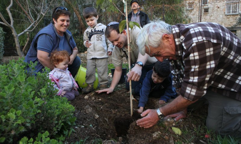 שימו לב: איסורי השמיטה מתחילים מחר בערב