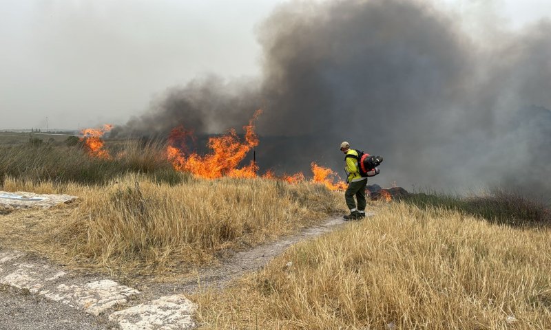 מוקד נוסף: שריפה בשדה קוצים סמוך לאשדוד