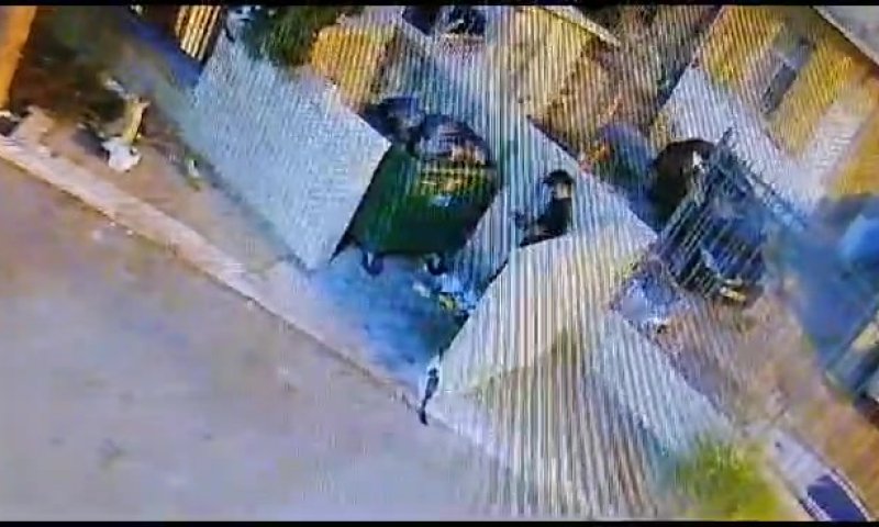 על חם: נתפס מצית סידרתי של פחי אשפה בחיפה