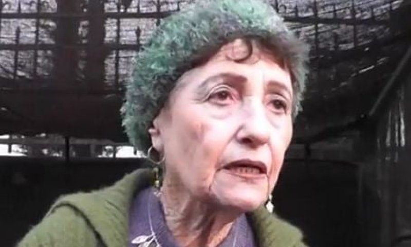 "גלעד בשבי הפרקליטות": יעל זר במאהל המחאה