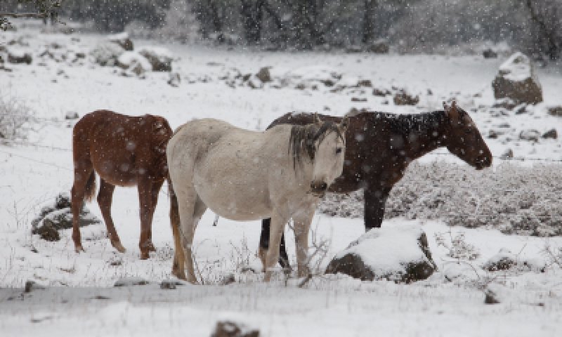כך צריך להתכונן לסופה הבאה