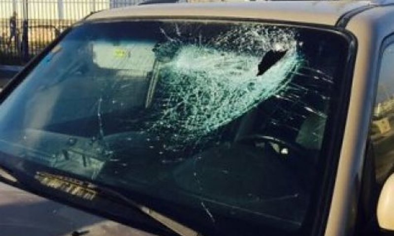 "אם כל האירועים היו מסתיימים כך התופעה הזאת הייתה נגמרת"