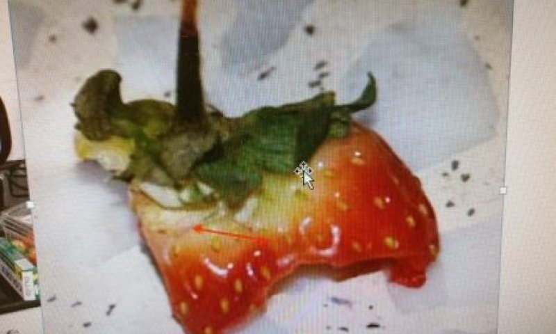 'הגנב שאהב תות': נתפס בגלל שאריות שהותיר אחריו